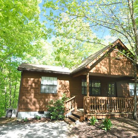 Adalynn'S Mountain Retreat-Hot Tub, 1089 Of Free Tickets For Each Paid Day, Dollywood And More! Pigeon Forge Zewnętrze zdjęcie